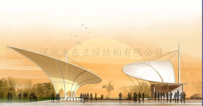 标志性膜结构